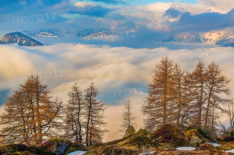 Early morning in the mountains