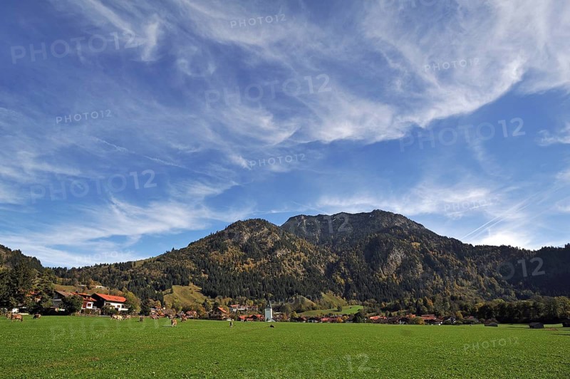 Pasture with cows in front of Bad Oberdorf