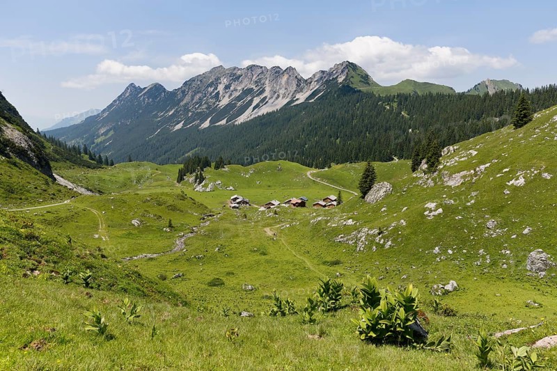Laguz Alps with Breithorn Mountain