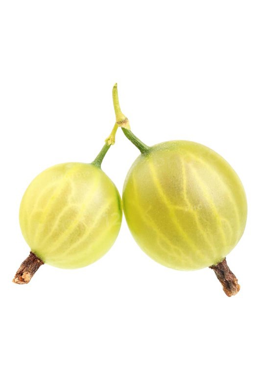 Gooseberries(Ribes uva-crispa)
