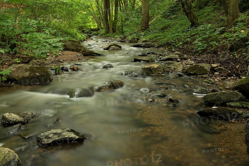 Kajabach stream