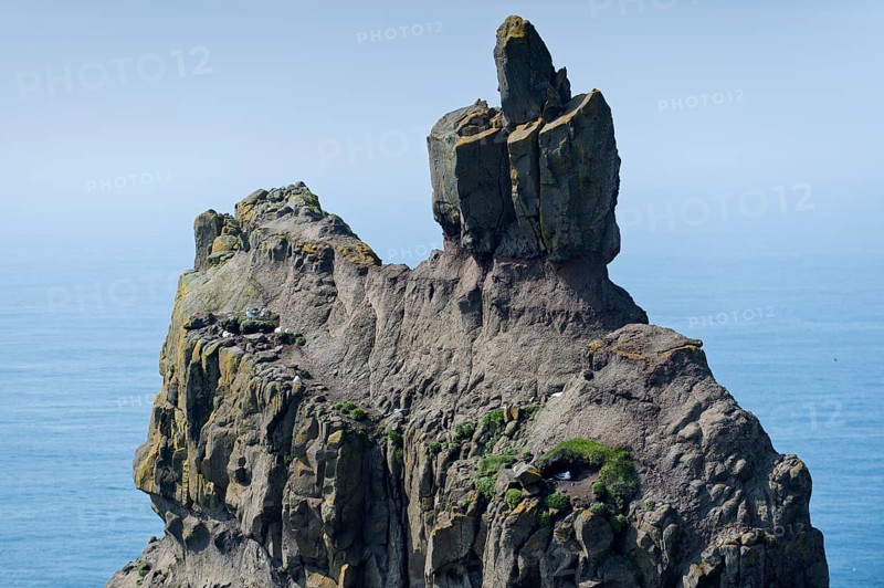 Bird rock