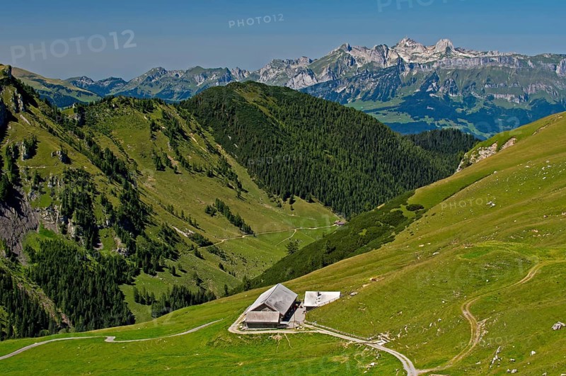 Mt Alpe Gritsch or Alp Gritsch near Malbun