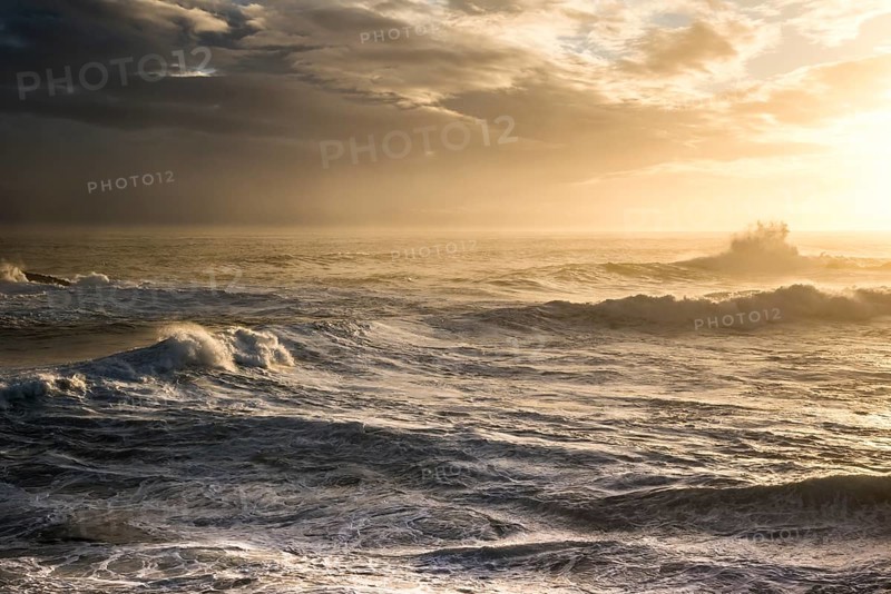Surf