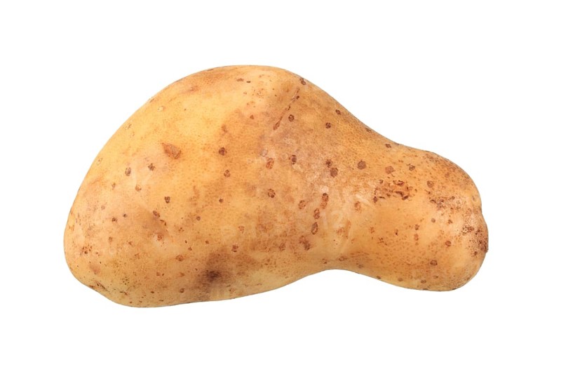 Potato