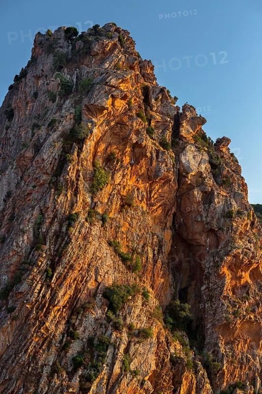 Bizarre rock erosions in the evening light