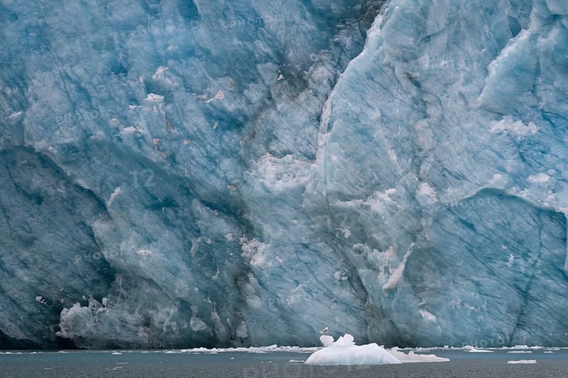 Ice at the glacier edge