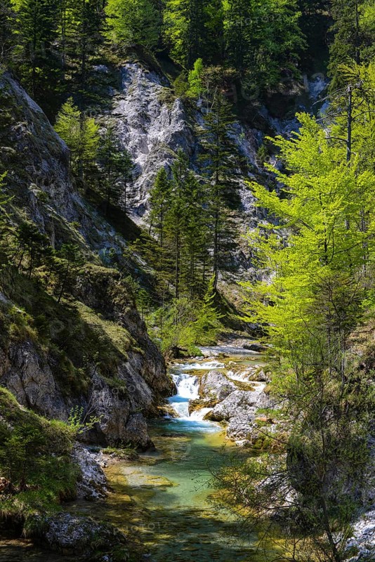 Course of a stream