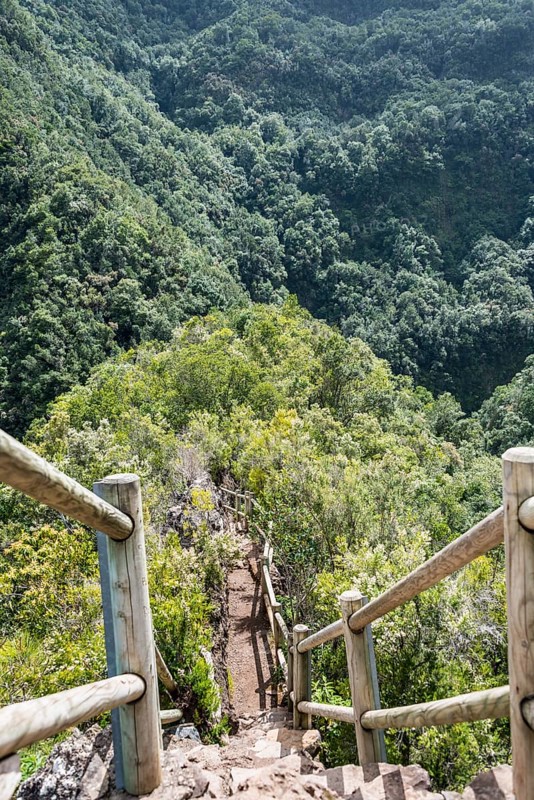 Hiking trail