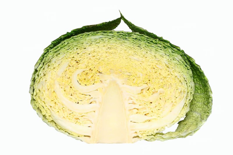 Savoy Cabbage (Brassica oleracea var sabauda)