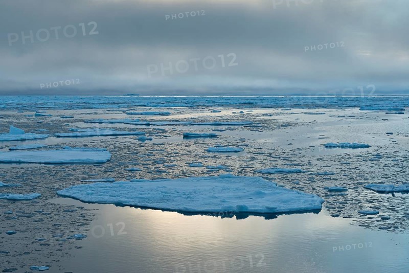 Ice floes