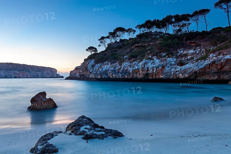 Coast at dawn