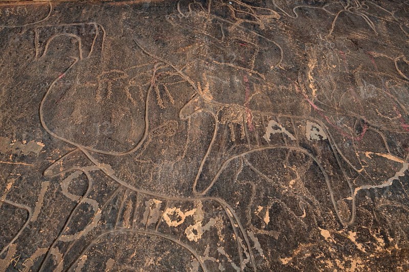 Prehistoric rock carvings near Taghit