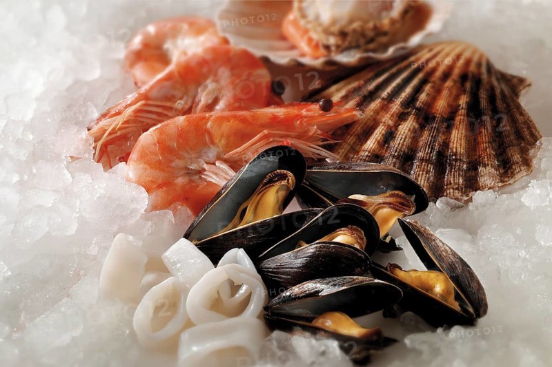 Fresh mussels