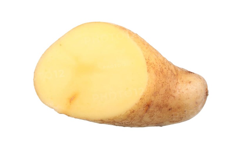 Potato
