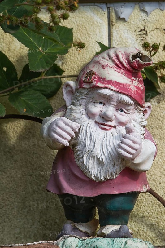 Garden gnome