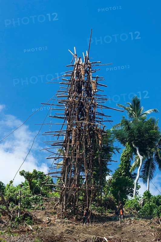 Bamboo tower for the Pentecost land diving