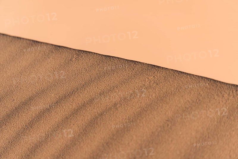 Ridge of a dune