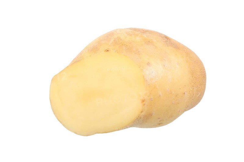 Potato