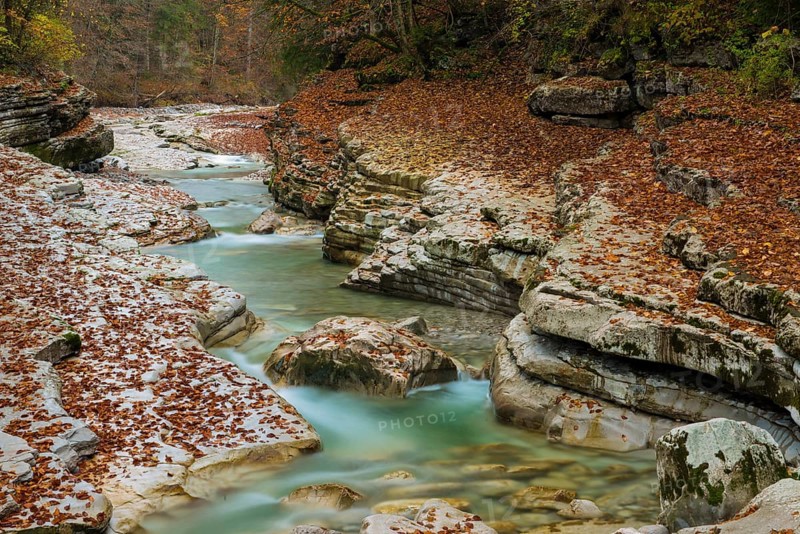 Autumn in the Tauglgries Nature Reserve