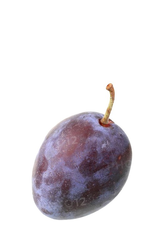 Italian plum