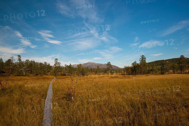Hiking trail