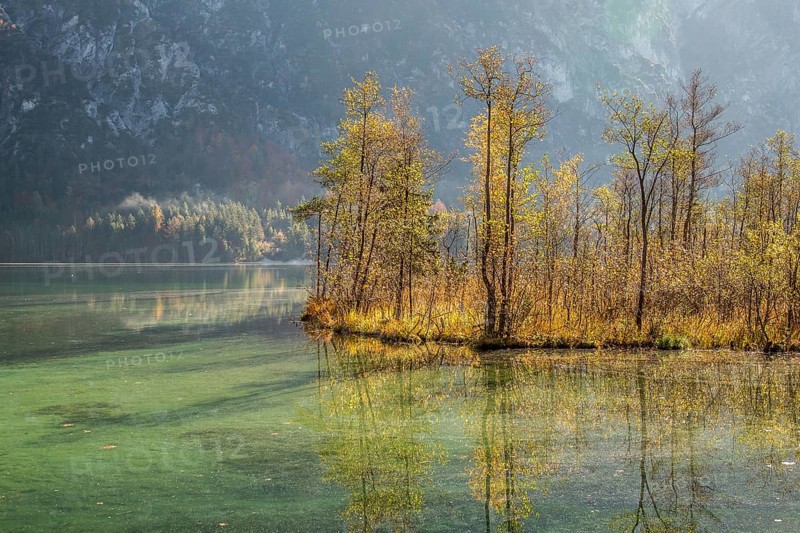 Autumn at Almsee lake
