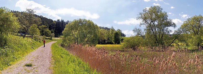 Woman on a trail through the Morsbachtal valley