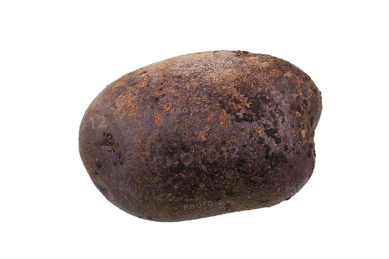 Potato
