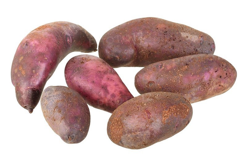 Potato