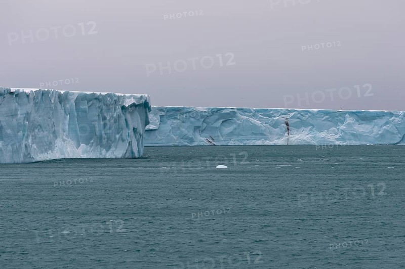 Brasvellbreen