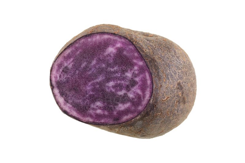 Potato