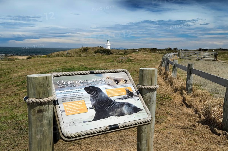 Information board for sea lions
