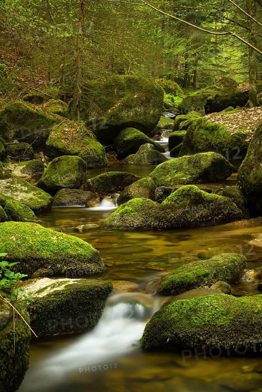 Stillensteinklamm gorge