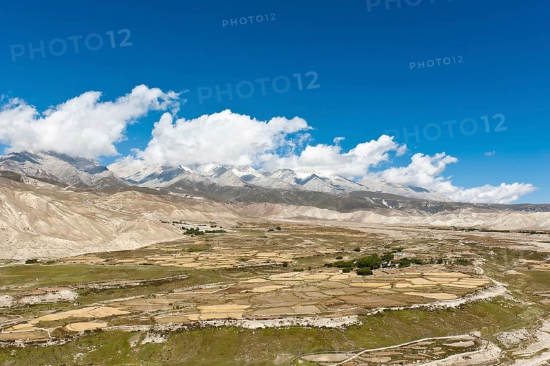 Barren cultivated landscape