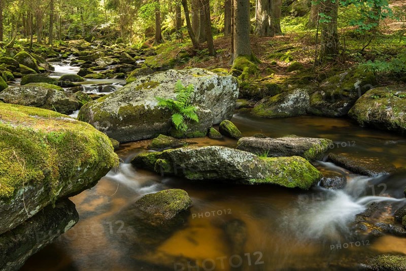 Hollfall falls
