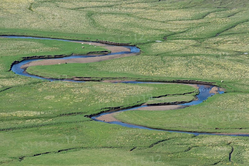 Meandering creek