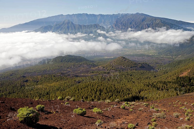 Volcanic crater in the Caldera de Taburiente National Park