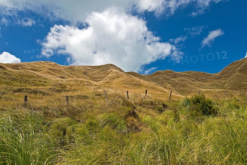Hills near Mahia