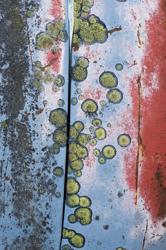 Rust