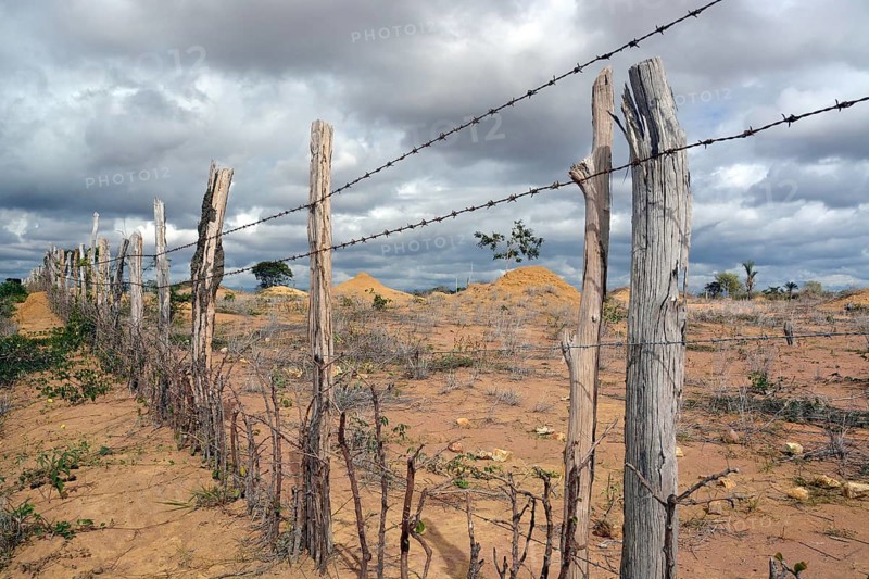 Simple barbed wire fence at a barren pasture