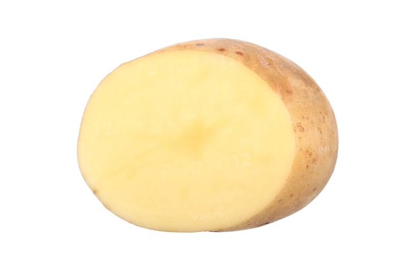 Potato