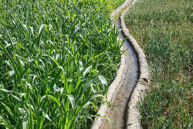 Clear water flowing in a traditional irrigation canal through a green field