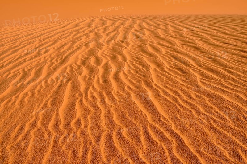 Sand ripples
