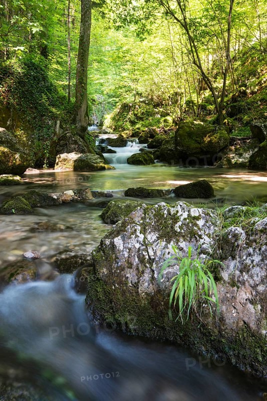 Brook of Myra Falls