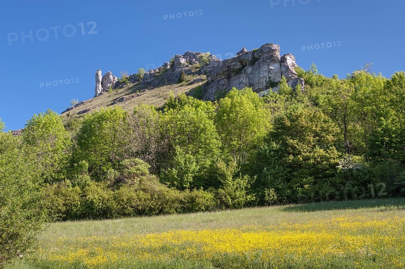 Limestone cliffs