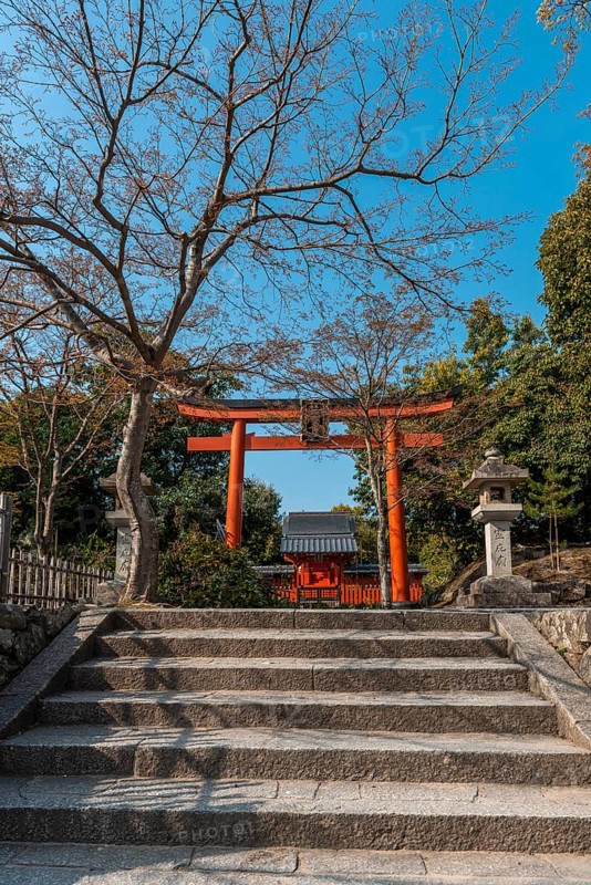 Torii Gate at Tenryuji Temple