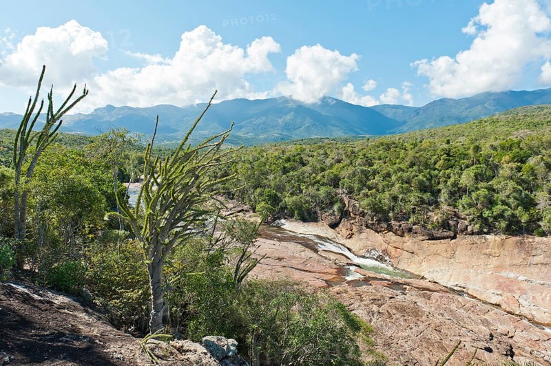Tropical dry forest landscape with river and rocks