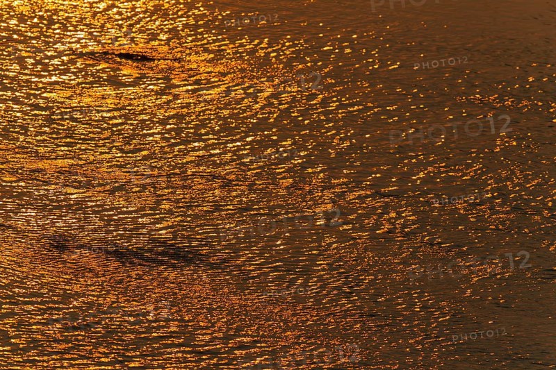 Reflections of the setting sun in the Olifants River