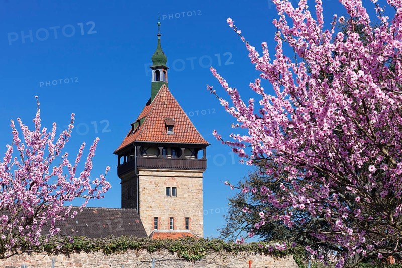 Geilweiler Hof